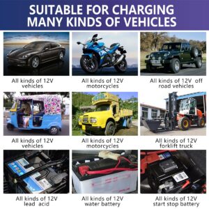 Car and Bike Battery Charger